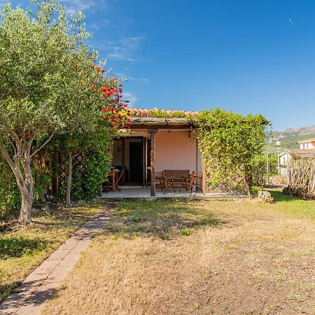 Appartamento Trilocale Le Canne 4 Posti Letto Con Giardino E Posto Auto Privato San Teodoro  Eksteriør bilde